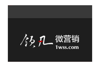 領(lǐng)凡微營銷